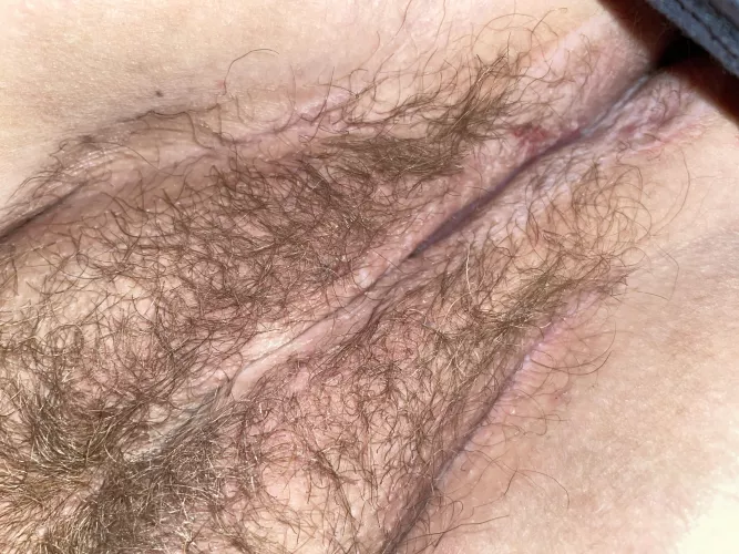 Tell me what you’d do to this hairy pussy? by Lmarim