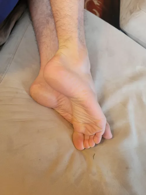 Tell me what you'd like to do with them.... by chickenjones