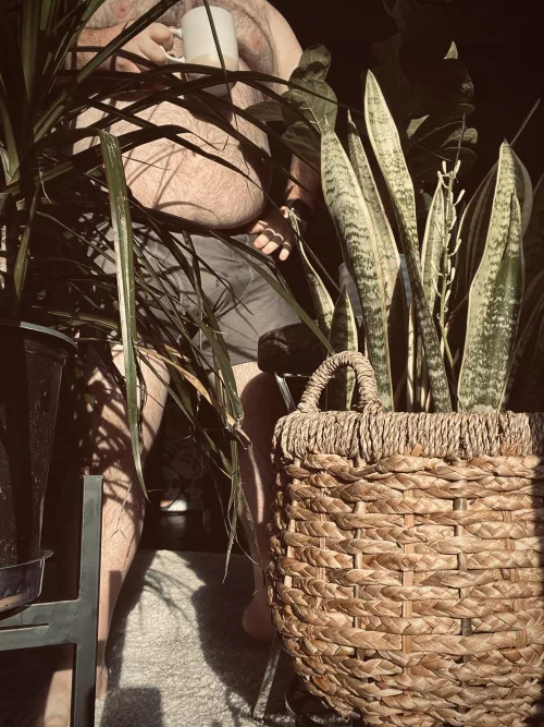 Tending to the vines this AM by nawwg1