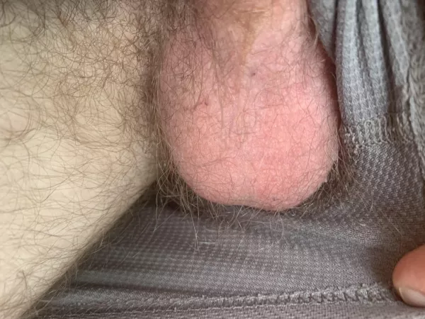 Testicle Tuesday! by HairLikeABear