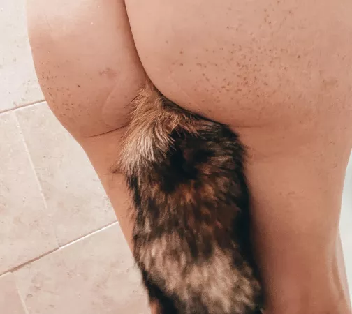 Testing out my new tail by freckledgingerkitten