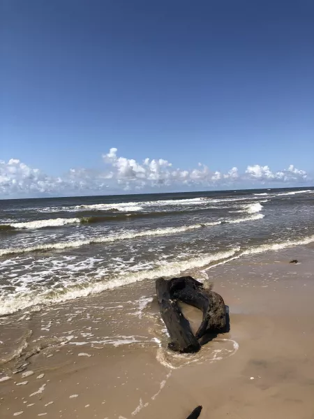 Texas 💜 by Pink_penguin721