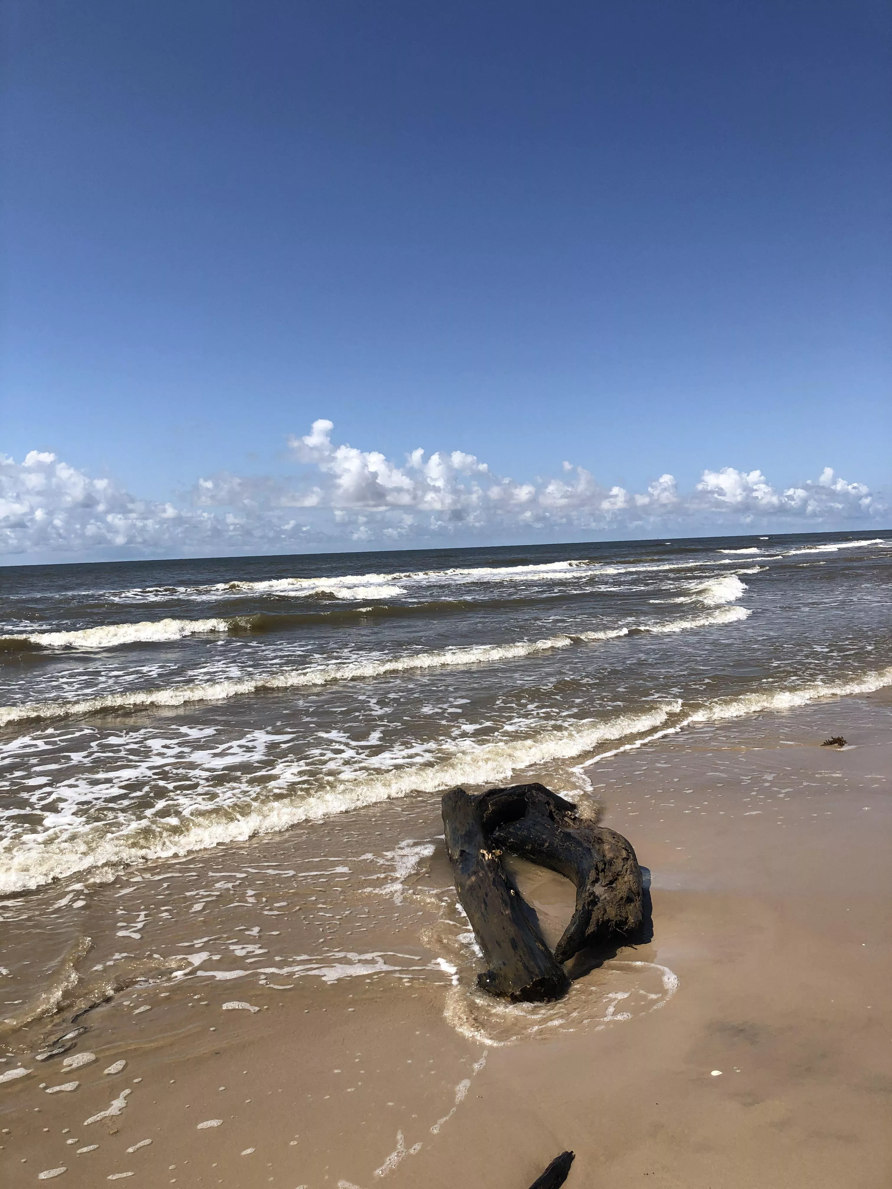 Texas 💜 posted by Pink_penguin721