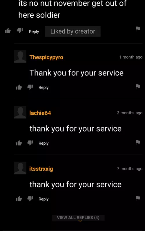 Thank you for your service by woddybear