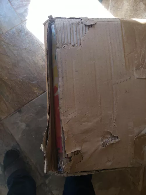 Thanks FedEx 😑 by Fantastic_Forever_69