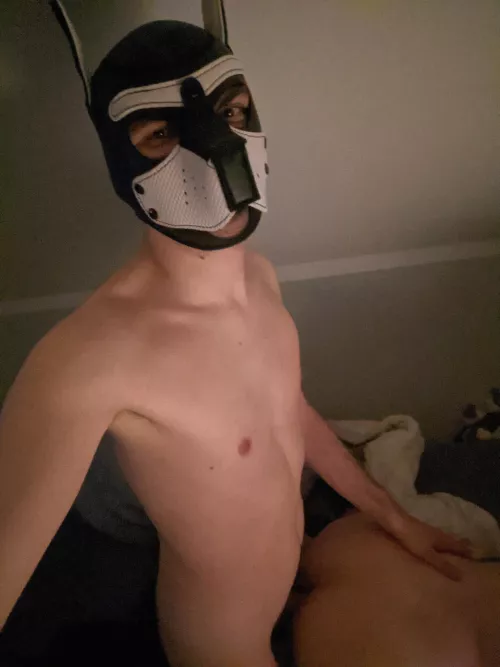 thanks for the kind welcome, don't mind me burying my bone 🐺 by nickthewolfboi