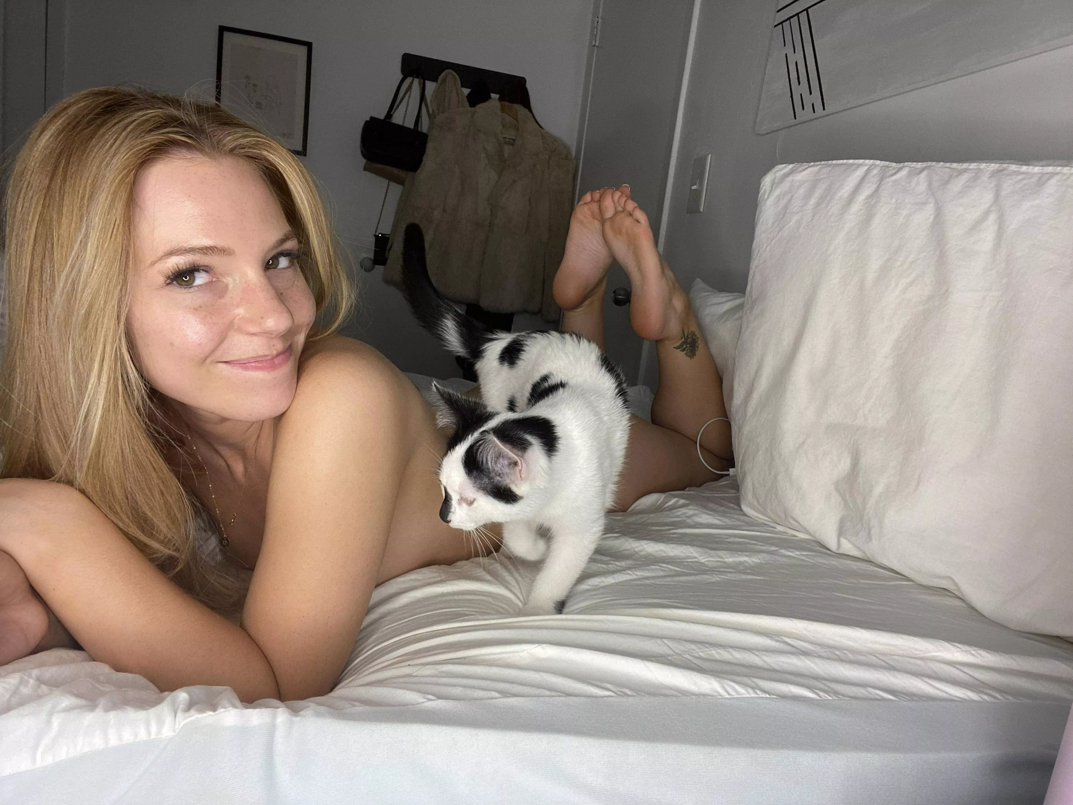 thanks for the purrfect censor 😂🤍 posted by redditreddhead