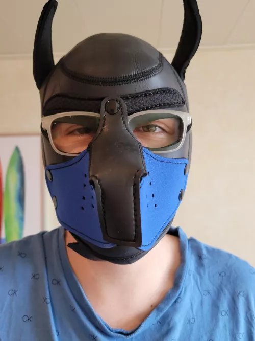 Thanks for your advice here an update 🐶😋 by Davidkings45