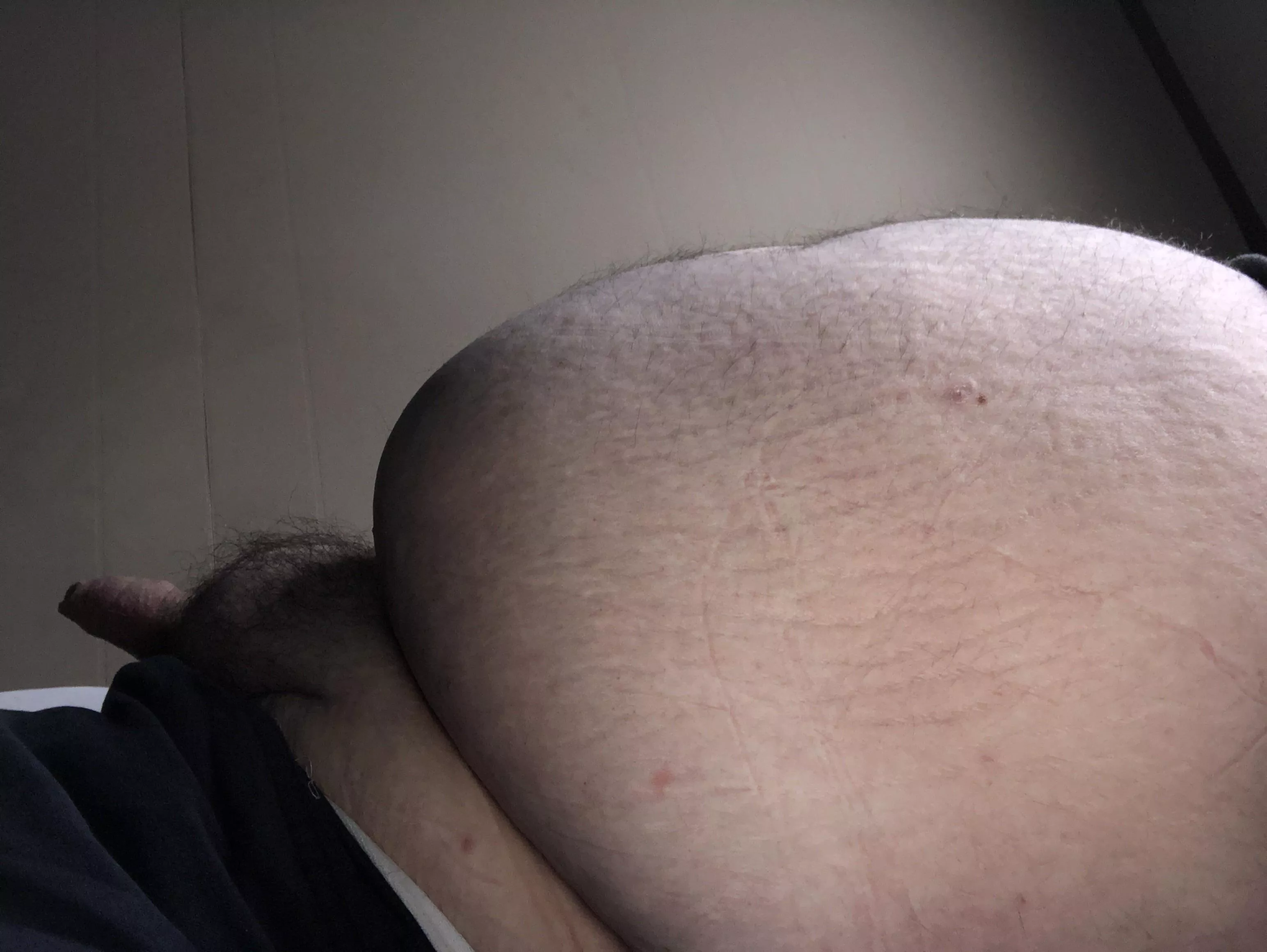 Thanks giving makes me feel like a fat whale! 🥵 posted by Moazirr