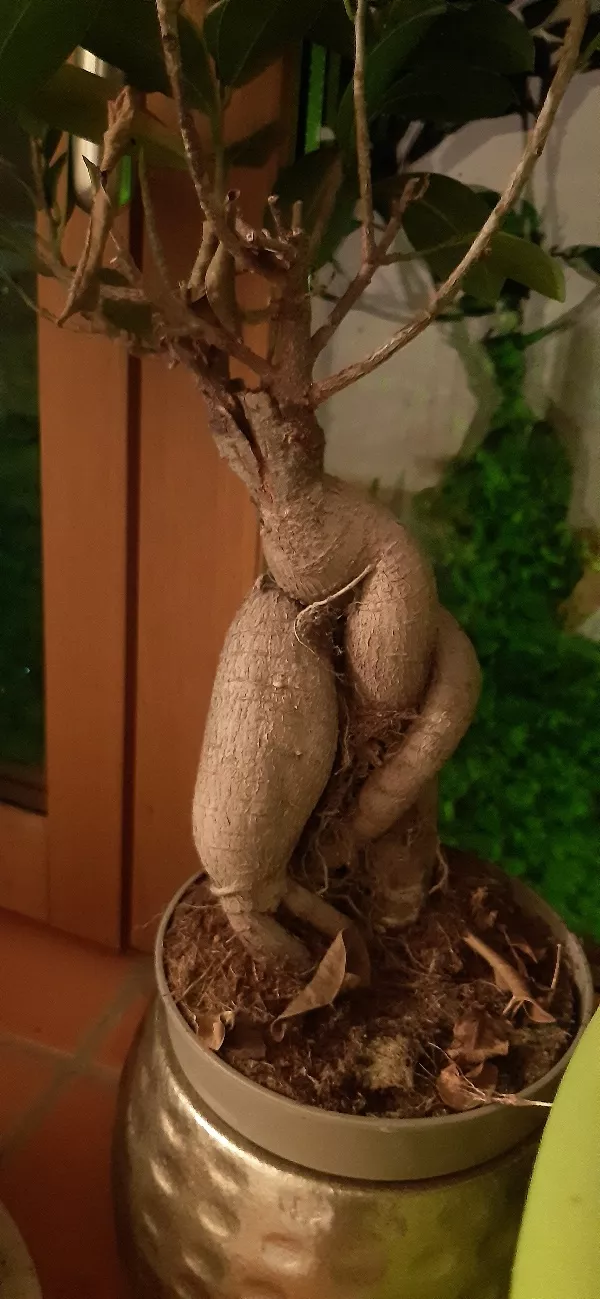 That ass! posted by LillithSanguinum