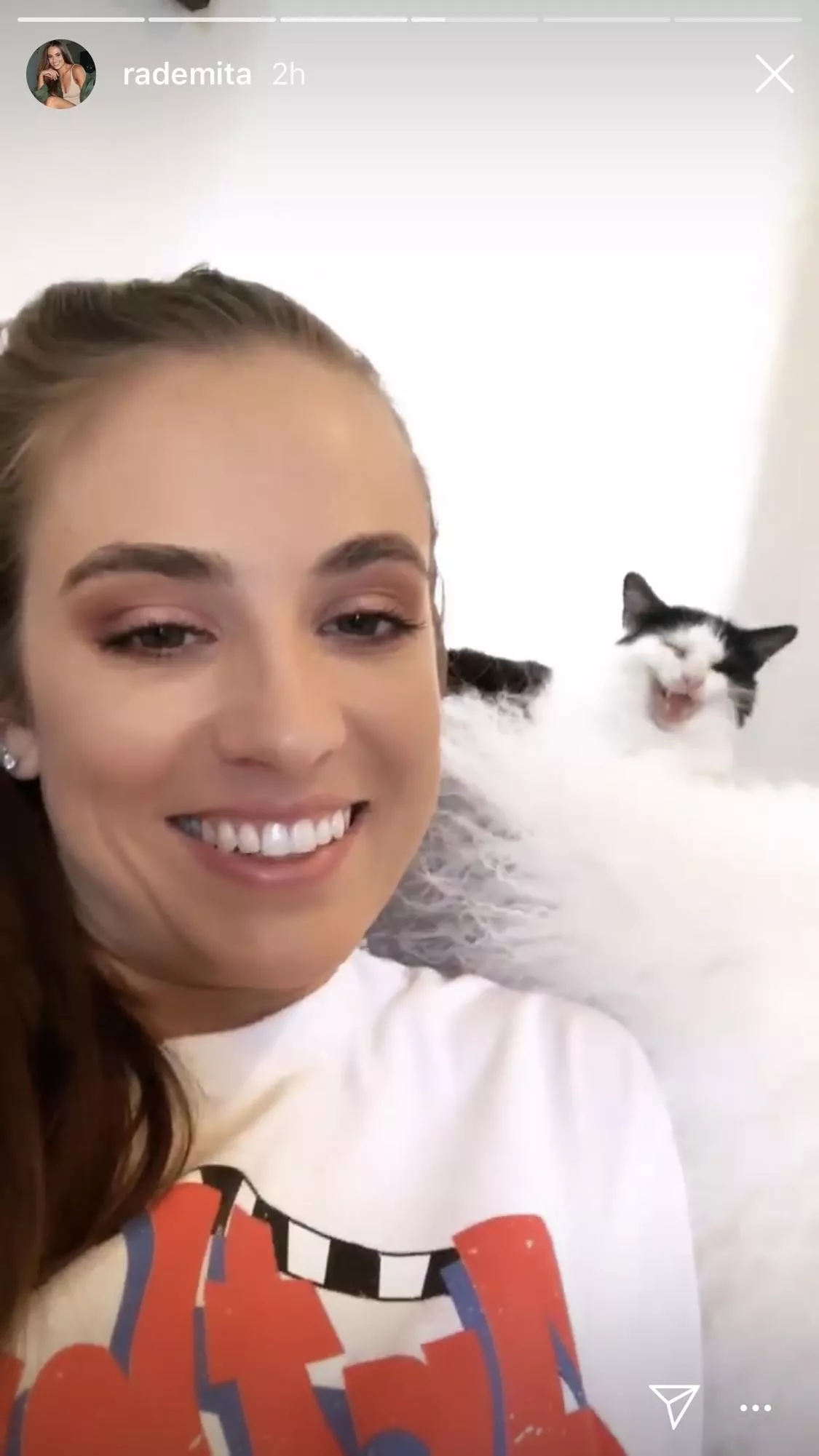 That cat though posted by jemiewolfiehkt