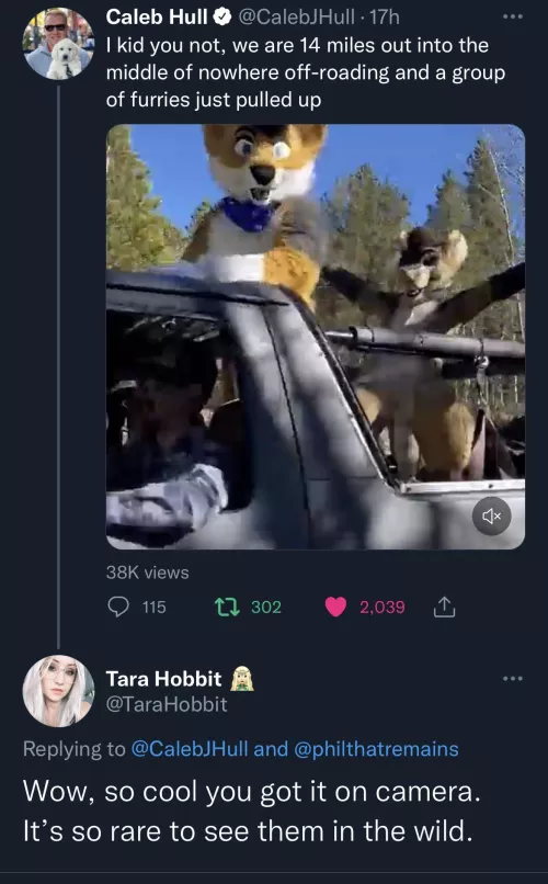 That comment at the bottom slays me by Kit_Karamak