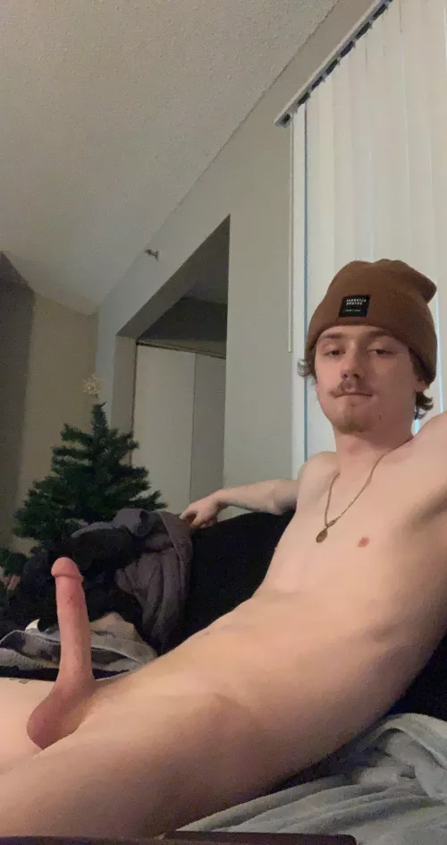 That last post made me realize I still have my Christmas tree up by skinny-hung