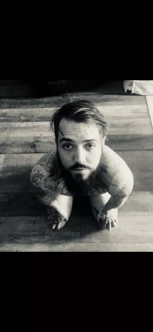 That moment of full compliance 🥺 by Excellent-Turnip1075