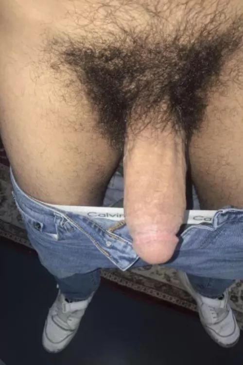 The 3 H's: Hungry | Horny | Hairy by xlottervie