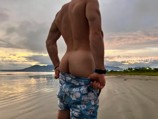 The AssSet! by WorkHard2