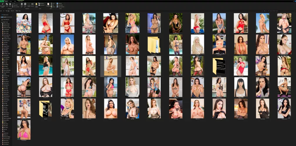 The beginnings of my ULTIMATE PORN COLLECTION 4TB by Dixersize