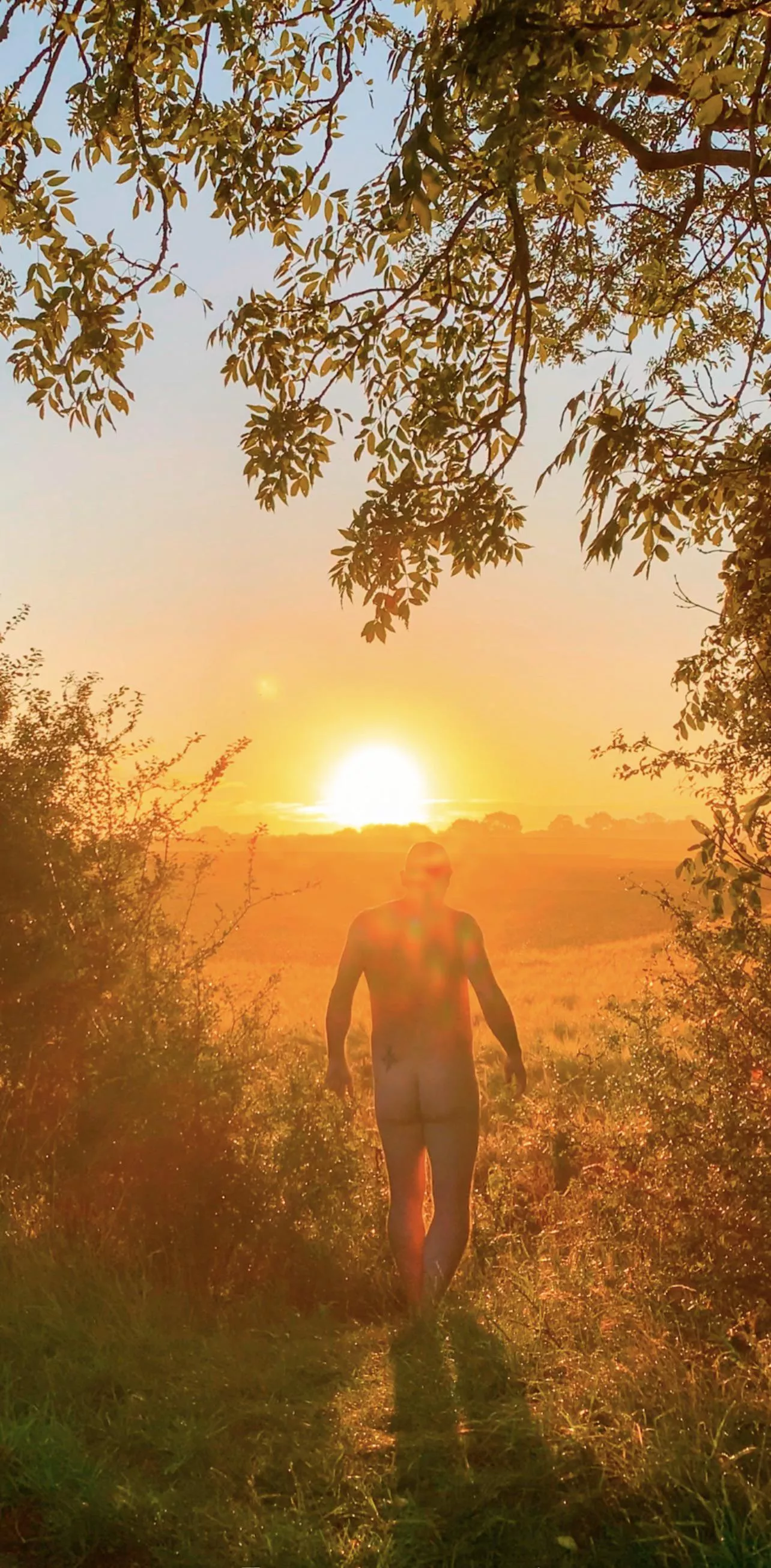 The best way to start the day. posted by Middle-Fly1019