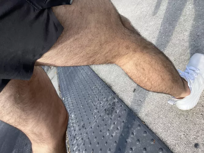 The bottom half by TheseGrowth