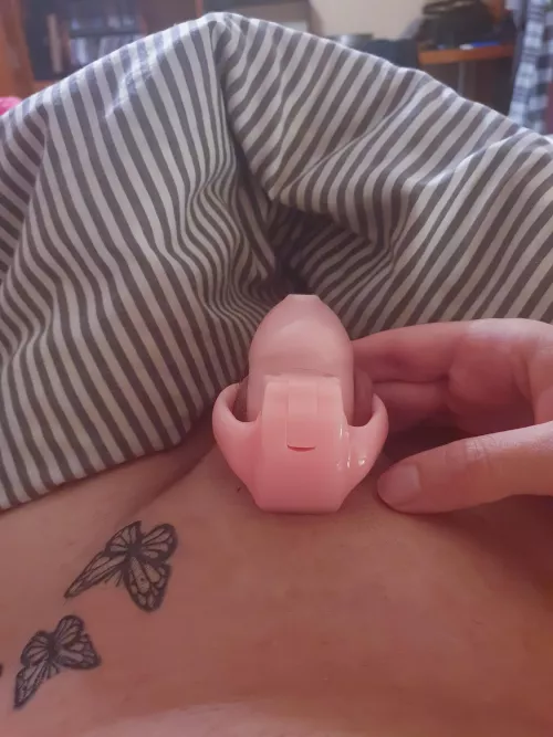 The caged part is done... by lamarosa91