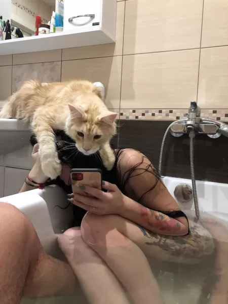 The cat checks correspondence with lovers! 😮 by Longjumping-Job-6530