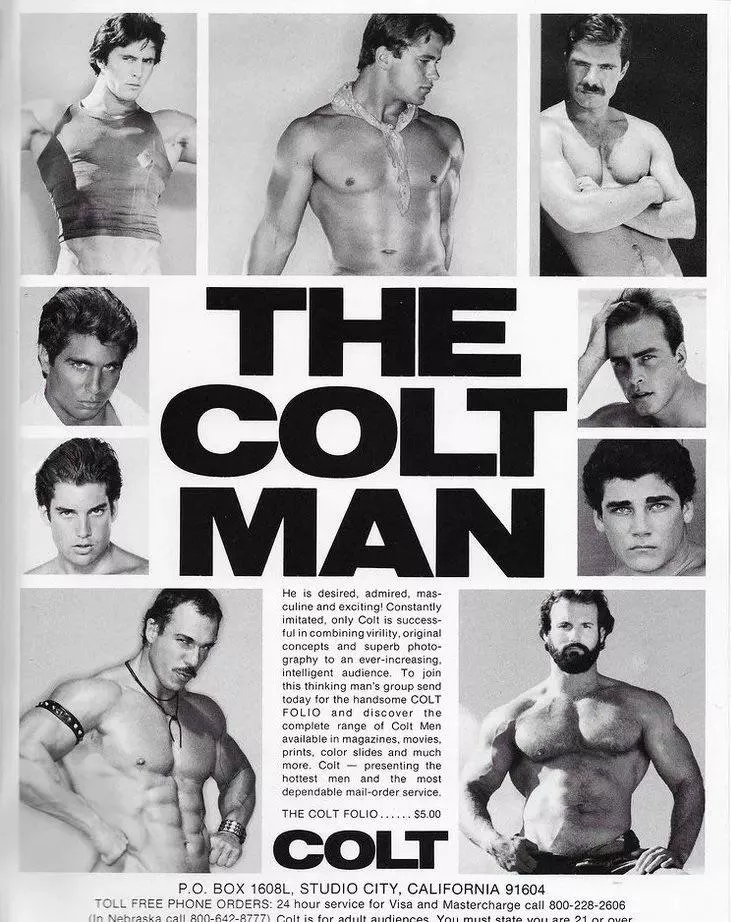 “The Colt Man” … posted by neilfromsydney2003