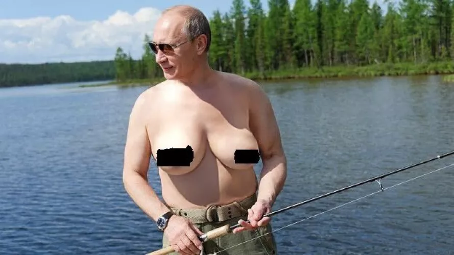 The confusion is real! by iHaveACatDog