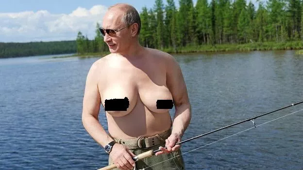 The confusion is real! posted by iHaveACatDog