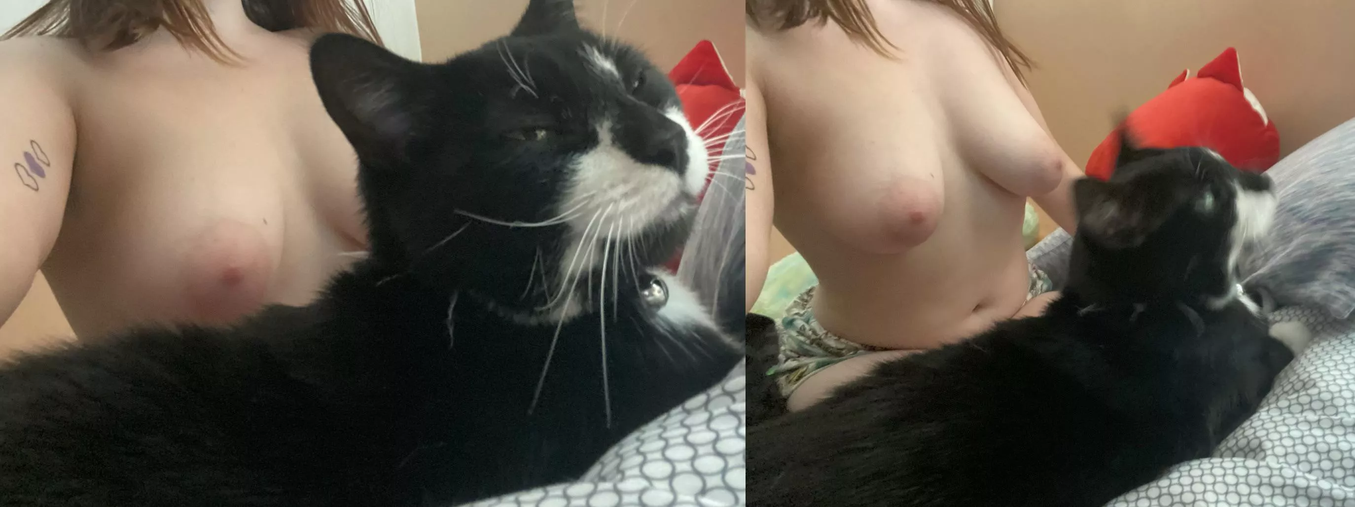 The cutie Patootie 🐈‍⬛ 💗 She’s a sweetie posted by Shrimp360