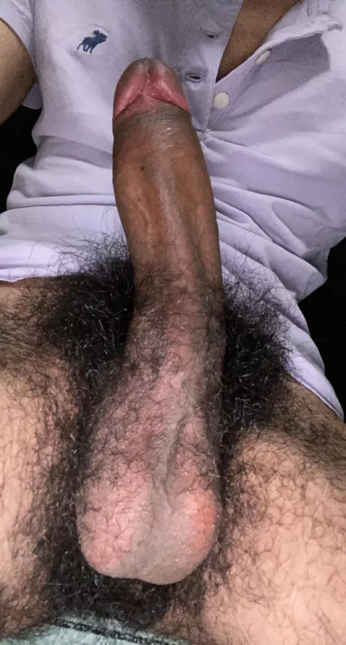 The day just started and is already sweaty by wonderland1-2