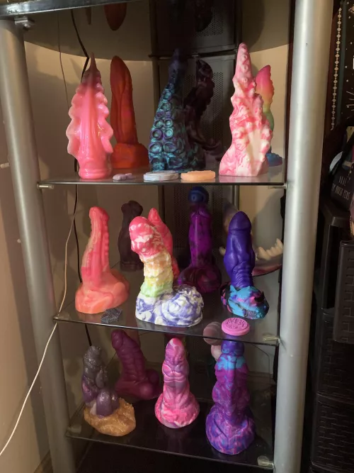 the Dick Shelf is looking gorgeous today (considering adding lights but not sure; found this display case for free) by nsfwthrowfemale666