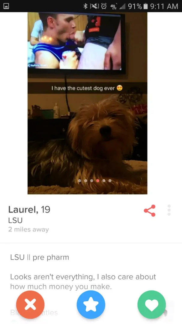 The dog is cute posted by pbj145