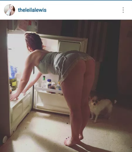 The dog waits patiently by nothingtoseeherebye