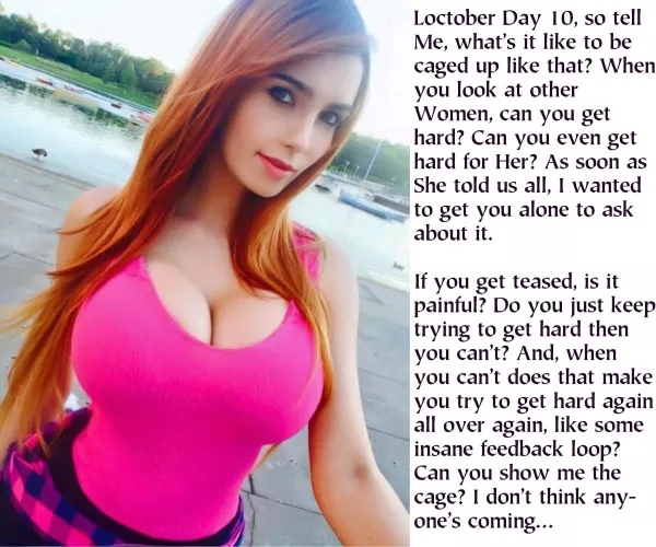 The feedback loop has been established. by cbtok