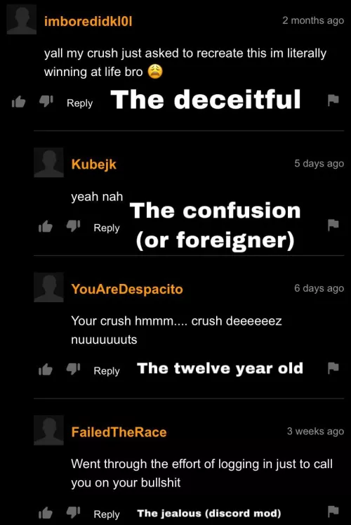 The four types of pornhub commenters by FATNOOBMAN