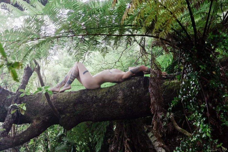 The French Pass by UrsinaeVespera