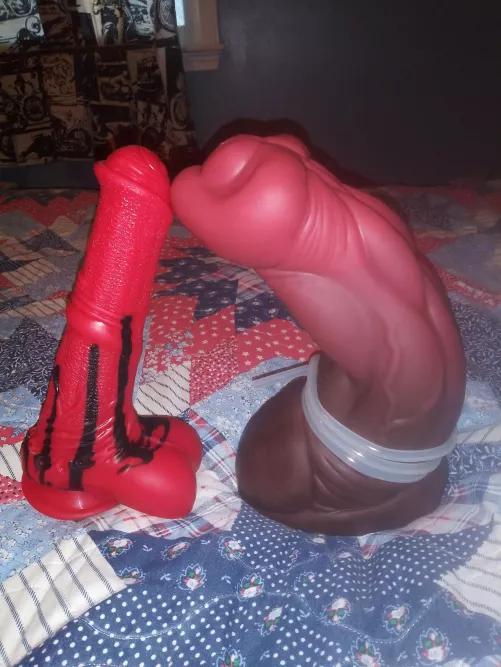 the fun in store for tonight by compkil