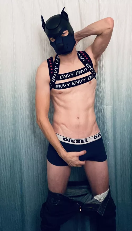 🦴🦴🦴 the goodest boy IG @aruff_arlopup by Calm-Charity1355