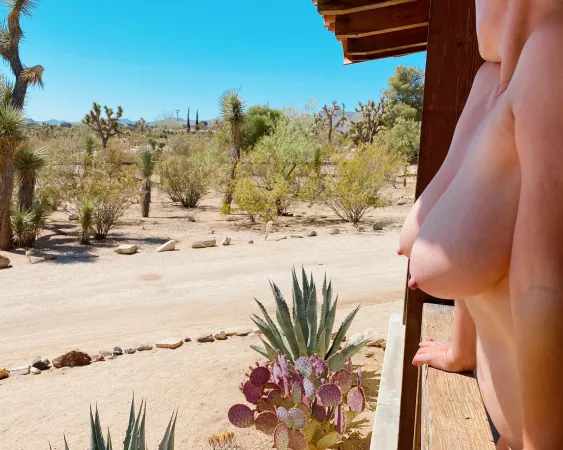 The High Desert Hedonism by Negronigirl84