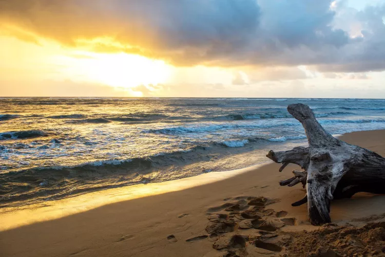 the Island of Kauai by forest-forrest