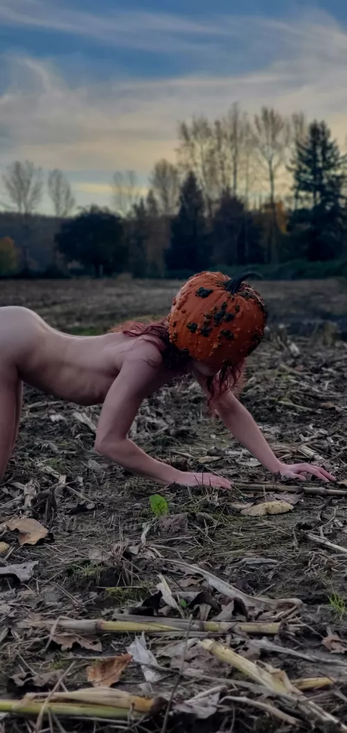 The last pumpkin in the patch🎃😈 by NakedMossFairy