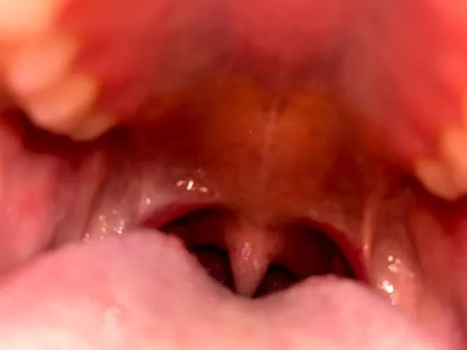 The last thing you will see as I swallow you whole. by lexa_stahl