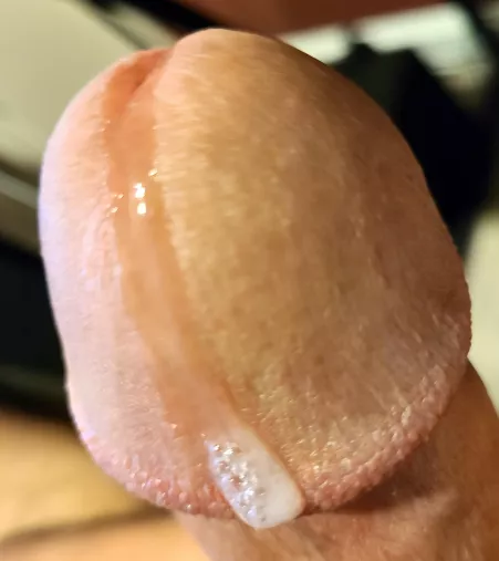 The long drip on a huge 🍄 by thinkthicc