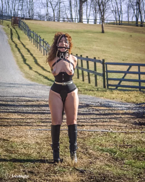 The neighbors always loved to see me walk my pony down our country road (Dee Luvbight 2003) by MickLuvbight