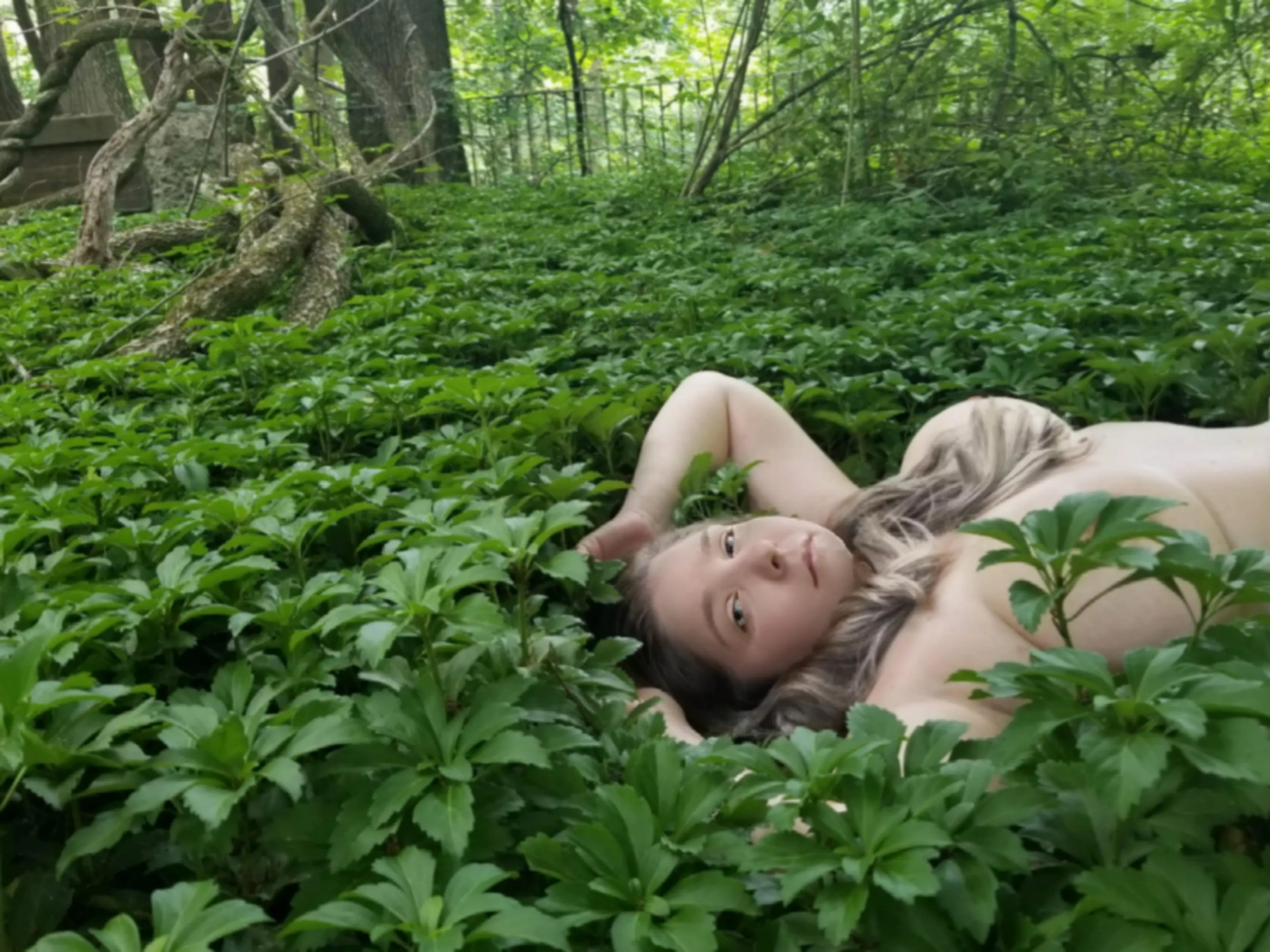 The only flower in these woods. posted by _jennius_