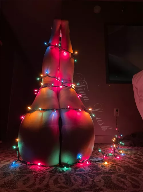 The perfect Christmas tree 🎄 [image] by tinalush