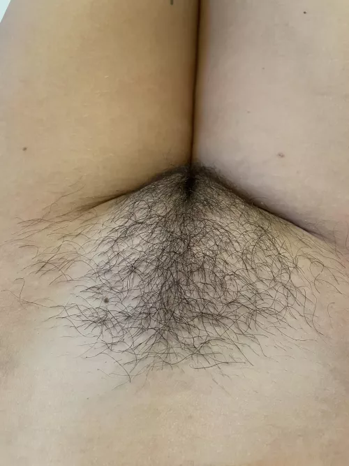 The picture doesn’t do it justice by mollysbloomers89