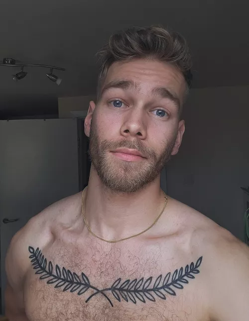 The power of a good trim by jhpf01