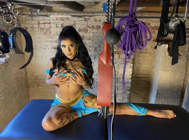 The Princess wants to see you in her royal chambers by HeSlays