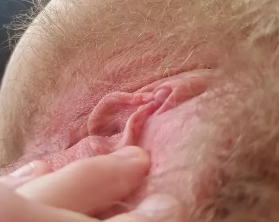 The rare bush colour blonde spottet in the open wild life by [deleted]